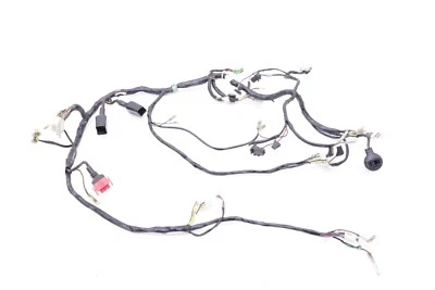 Kawasaki Ninja Ex250 250R Ex 250 2005 arnés de cableado principal K140 Foto 1 de 4