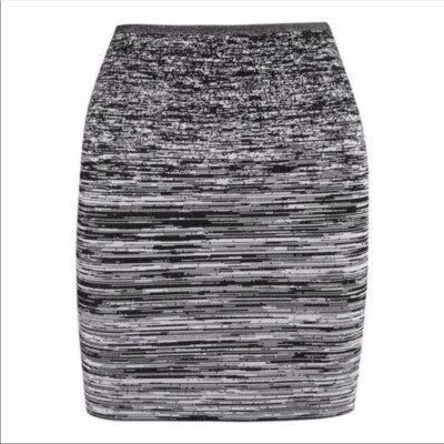 Falda lápiz Alexander Wang Degrade extra pequeña Foto 1 de 4