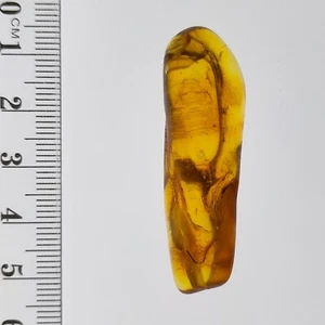 Baltic Amber polished transparent natural honey colour gemstone 24.3ct - Picture 1 of 6