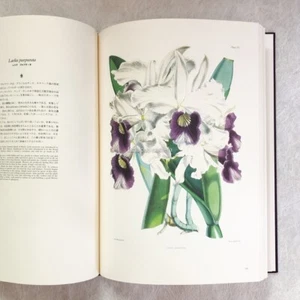 Orchid Illustrations 19th century Extinct Species Natural History Deluxe Edition - Bild 1 von 14
