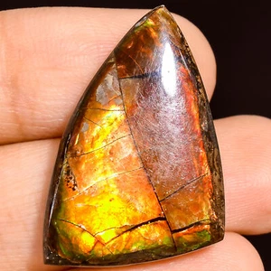 23.50Cts. Natural Play Of Multi Fire Ammolite Fancy Cabochon Loose Gemstone - Picture 1 of 5