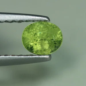 0.46 Cts_Loose Gemstone_100 % Natural Green Demantoid Garnet_Namibia - Imagen 1 de 3