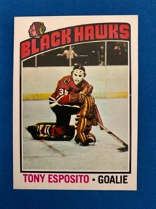 1976 TOPPS #100 TONY ESPOSITO COME NUOVO! SET ROTTURA BELLO! **SMS CARD** - Foto 1 di 2