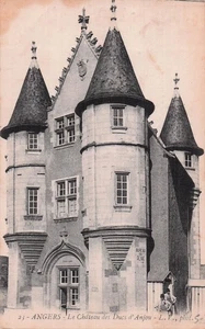 49 ANGERS LE CHATEAU DES DUCS D ANJOU - Picture 1 of 2