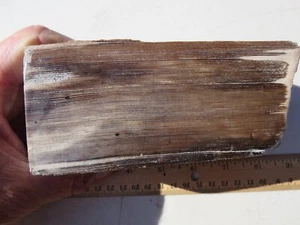 677  FACE POLISHED PETRIFIED WOOD.  BEAUTIFUL GRAIN, 2.4#. EX OLD TIME ROCK SHOP - Picture 1 of 5