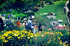 1952 Red Border 35mm Color Slide People In Botanic Garden In Victoria BC Canada