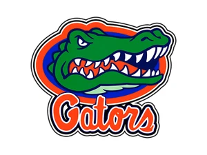 #0224 Florida Gators Logo Adhesivo Universitario Impermeable Vinilo Calcomanía Troquelado Coche - Imagen 1 de 1