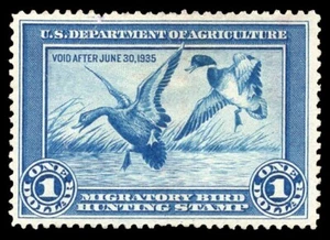 RW1 — SALE!! 1934 Federal duck stamp. GORGEOUS - Picture 1 of 4