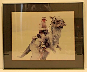 Litografía enmarcada Mark Hamill 1980 The Empire Strikes Back - Imagen 1 de 3