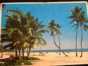 Florida Beach Palmen Postkarte Sonne Küste - Bild 1 von 10