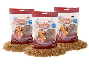 3Kg High Quality Chubby Dried Mealworms for Wild Birds etc. Best Brand in UK