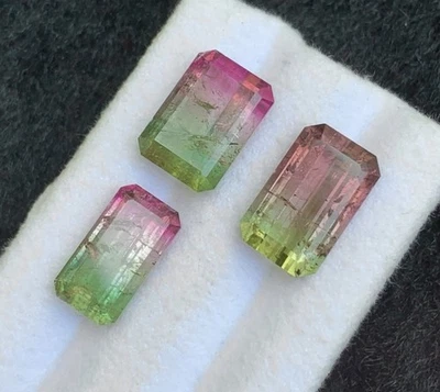 18.79 CRT tricolor Watermelon Tourmaline Natural Earth Mined UnheatedFacetedafg - Image 1 of 4