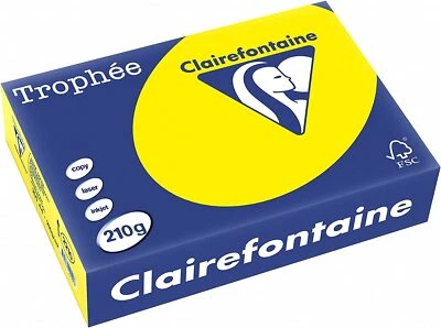 Clairefontaine Trophee farbiges Papier 2210C Kanariengelb 210g DIN-A4 250 Blatt
