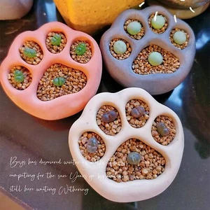 Zampe di gatto Lithops vaso succulento cactus piccoli vasi per piante in ceramica da interno esterno - Foto 1 di 20