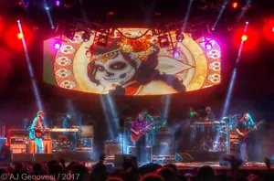 Pánico generalizado - Banda completa - Foto / Póster de 11 X 14 pulgadas - Concierto en vivo - 2017 - Imagen 1 de 1