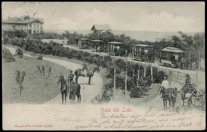 cartolina VENEZIA viale del lido - Picture 1 of 1