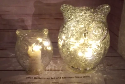 Ellen Degeneres Set 2 Mercury Glass Owls Lights 2 settings AA Batteries Required - Image 1 of 4