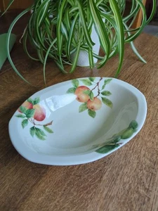 Royal Doulton 1994 Citrus Grove TC 1192 Rimmed Serving Bowl 11 X 8.5 Beautiful! - Picture 1 of 10