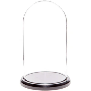 Plymor 5.5" x 10" Glass Display Dome Cloche (Black MDF Wood Base) - Picture 1 of 1