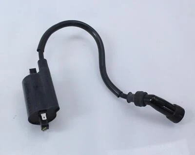 06-20 SUZUKI BOULEVARD M109R BOSS OEM BOBINA DE ENCENDIDO TRASERA Foto 1 de 4