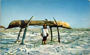 Eskimo Umniak Stored on Whalebone Platform Alaska Postcard - Imagen 1 de 2