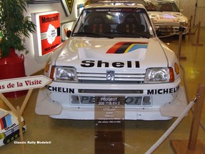 Peugeot 205T16 + EVO  CD 190 detailed photos Group B Rally Beemax Belkits