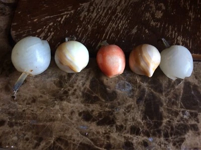 Antiguo Lote De Colección Miniatura Boho Mármol Tallado Colorido Piedra Fruta Decoración Foto 1 de 4