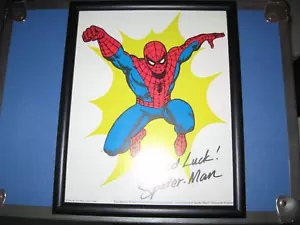 1975 Original Spider Man Poster Hudson Pharmacudical Co Advertising Rare 10x8” - Picture 1 of 1