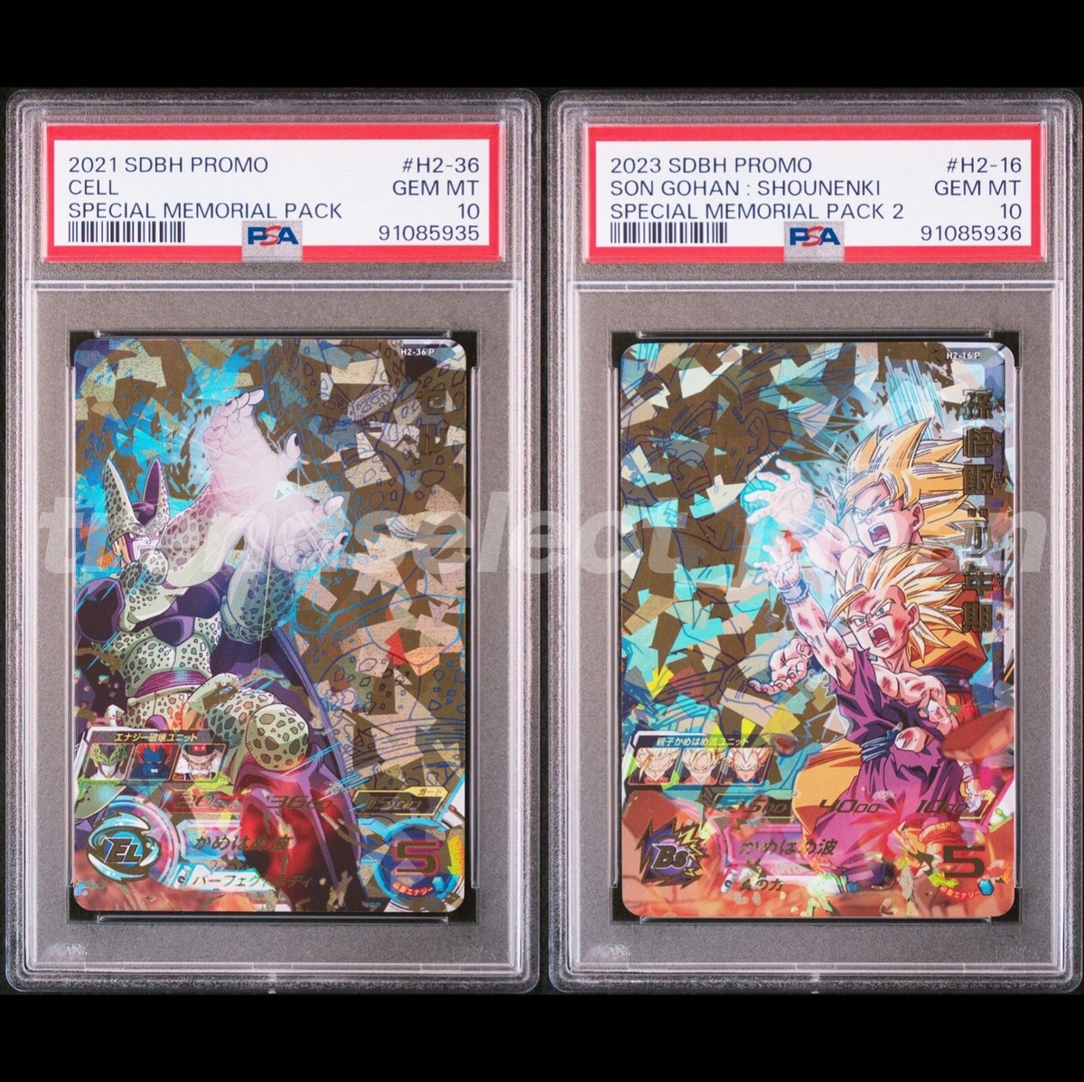 セルh2-36 p メモリアルpsa10