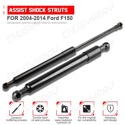 Soporte de puerta levadiza para Ford F150 2007 Foto 1 de 4