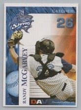 Randy McGarvey 2007 DAV Camden Riversharks Atlantic League Baseball Card