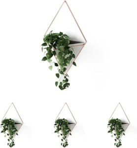 Trigg Hanging Planter Vase & Geometric Wall Decor Containers-For Succulents, ... - Picture 1 of 1
