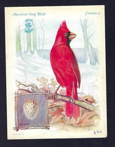 c1927 Victorian Trade Card, Singer Sewing Machine, American Song Birds, Cardinal - Picture 1 of 2