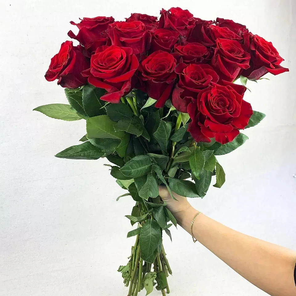 50 Fresh Red Roses delivered to your door  - Image 1 of 1