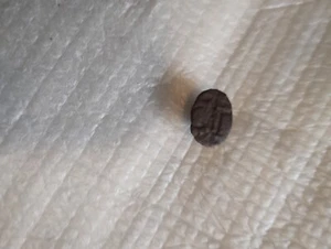 Mittelalter Wachssiegel ungeforscht Original Artikel siehe Bilder  - Bild 1 von 5