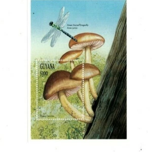 Guyana - 1999 - Mushrooms - Souvenir Sheet - MNH - Picture 1 of 1