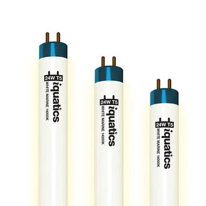 3 x iQuatics Aquarium Fish Tank Fluorescent Bulb T5 White 14000k, 24w 550mm 22" - Picture 1 of 6