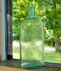 DEAD STUCK FOR BUGS (PIN THRU BED BUG) 1890s BUG POISON BOTTLE 8 1/2" LARGE SIZE - Picture 1 of 5