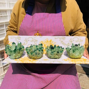 3.71LB 4pcs New find green Phantom Quartz Crystal Cluster mineral samples heals - Picture 1 of 18