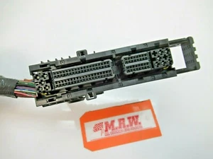 CONECTOR ENCHUFE CABLE EXTREMO MÓDULO DE CONTROL INFORMÁTICO MOTOR apagado para 06 G35 DESDE 10/05 - Imagen 1 de 7