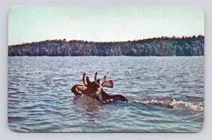 ELCH Schwimmblind Fluss Ontario Kanada um 1957 Postkarte - Bild 1 von 2