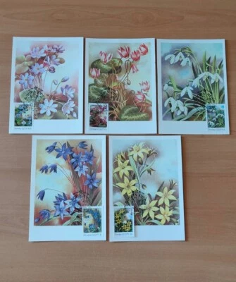 Set of 5 postcards FLORA USSR with cancellation and first day stamp - Image 1 of 4