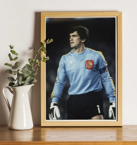 Luis Arconada Spain World Cup '82 : 12"x8" Professional Photo - Picture 1 of 2