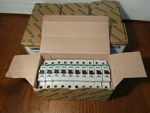 Caja de 10x Crabtree Loadstar MCB 6 Amp Interruptor de Polo Único Tipo B 6A 6FS06B Nuevo - Imagen 1 de 4