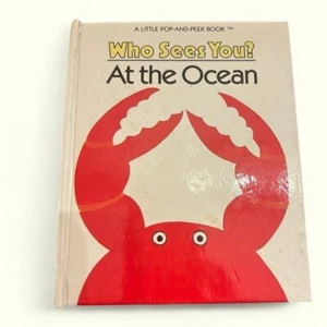 Who Sees you at the ocean, adorable pop up book, vintage, 1987, sensory, child - Picture 1 of 9