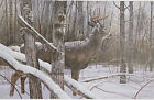 Chris Kuehn Untold Story Whitetail Deer Art Print-21.5 x13.5