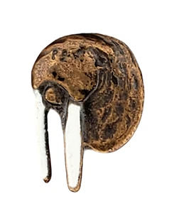 Vintage Walross Kopf Anstecknadel Hutnadel Arktis Tier Bronzefarben - Bild 1 von 4