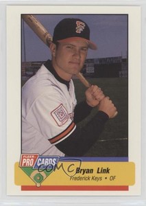 1994 Fleer ProCards Minor League Bryan Link #2629
