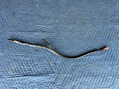 1999-2007 Chevy Silverado 1500 vareta e tubo de transmissão automática fabricante de equipamento original #4327E - Imagem 1 de 4