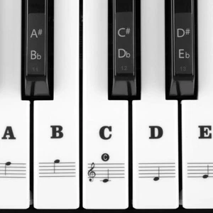 Klavier Keyboard Aufkleber Für 54/61 / 76/88 Tasten Noten Piano Sticker Für Weiß - Bild 1 von 5